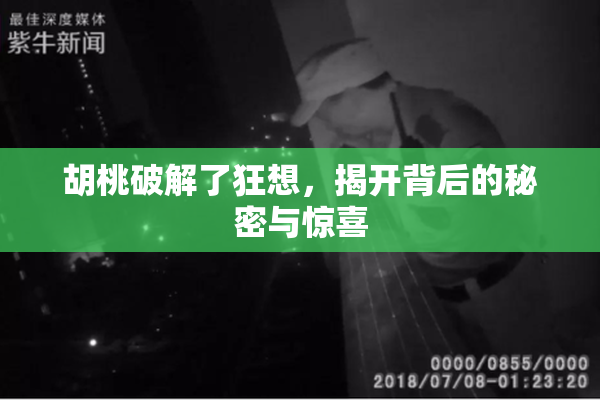 胡桃破解了狂想，揭开背后的秘密与惊喜
