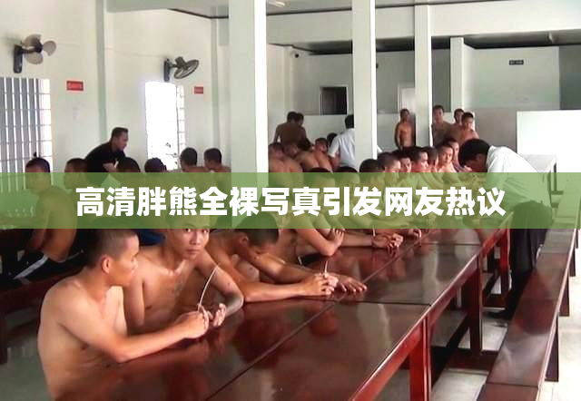 高清胖熊全裸写真引发网友热议