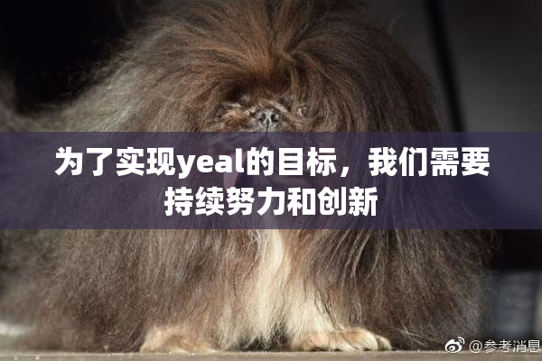 为了实现yeal的目标，我们需要持续努力和创新