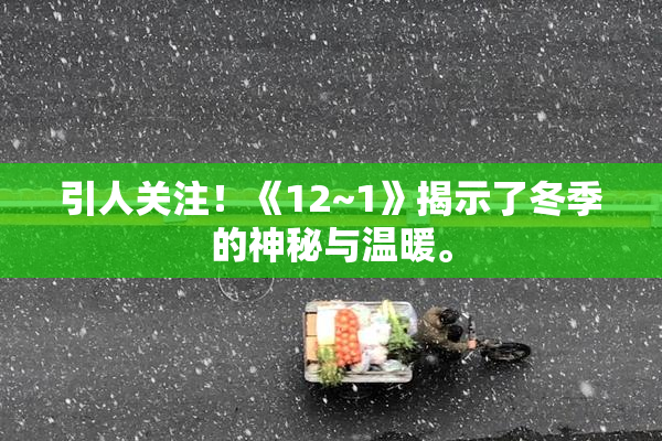 引人关注！《12~1》揭示了冬季的神秘与温暖。