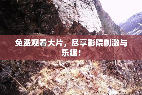 免费观看大片，尽享影院刺激与乐趣！