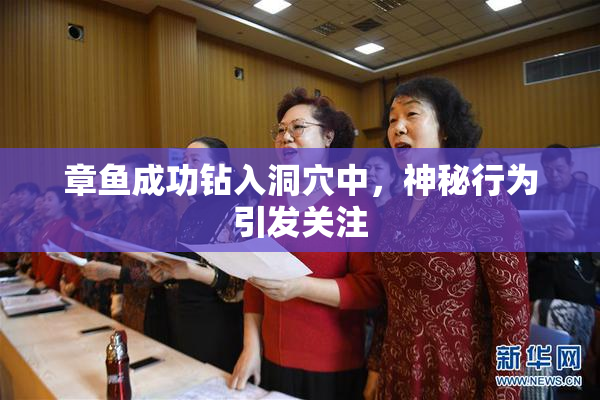 章鱼成功钻入洞穴中，神秘行为引发关注