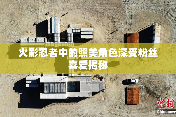 火影忍者中的照美角色深受粉丝喜爱揭秘