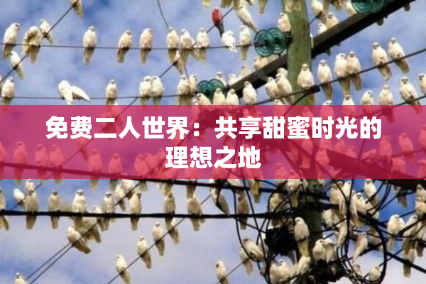 免费二人世界：共享甜蜜时光的理想之地