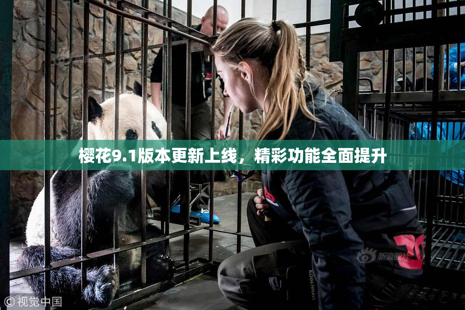 樱花9.1版本更新上线，精彩功能全面提升