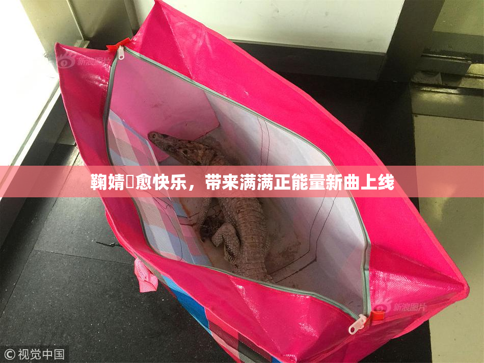 鞠婧祎愈快乐，带来满满正能量新曲上线