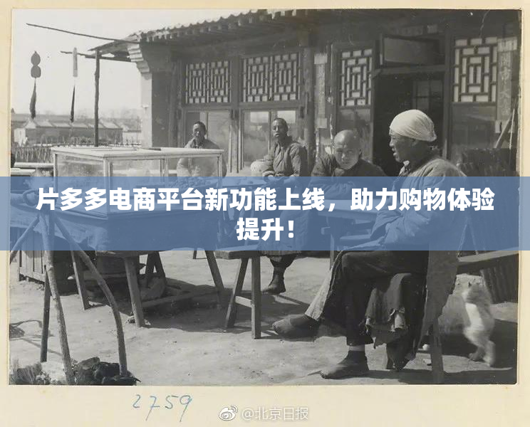 片多多电商平台新功能上线，助力购物体验提升！