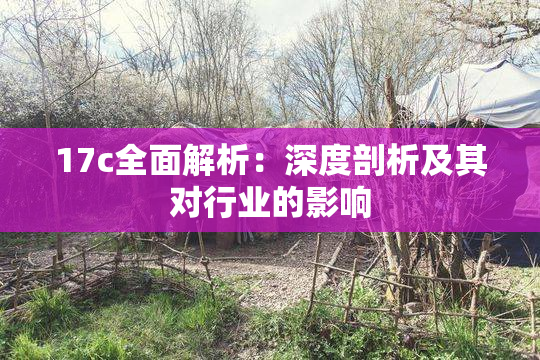 17c全面解析：深度剖析及其对行业的影响