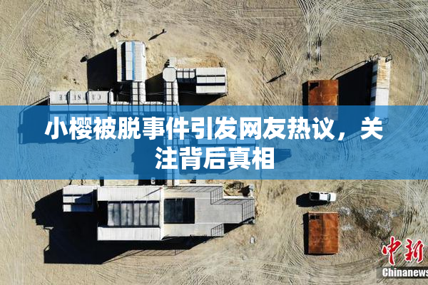 小樱被脱事件引发网友热议，关注背后真相