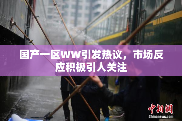 国产一区WW引发热议，市场反应积极引人关注