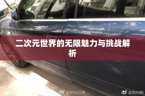 二次元世界的无限魅力与挑战解析
