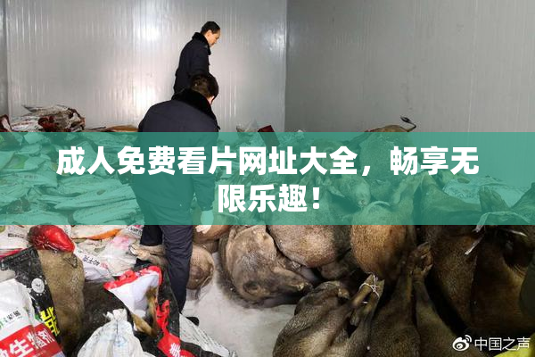 成人免费看片网址大全，畅享无限乐趣！