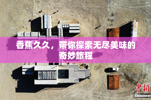 香蕉久久，带你探索无尽美味的奇妙旅程