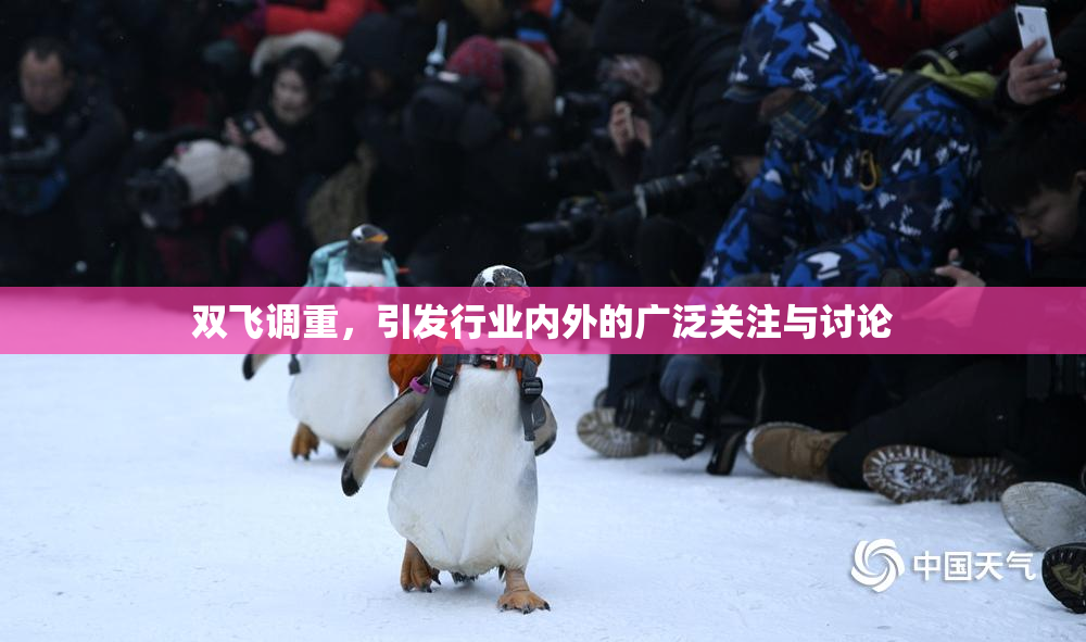双飞调重，引发行业内外的广泛关注与讨论