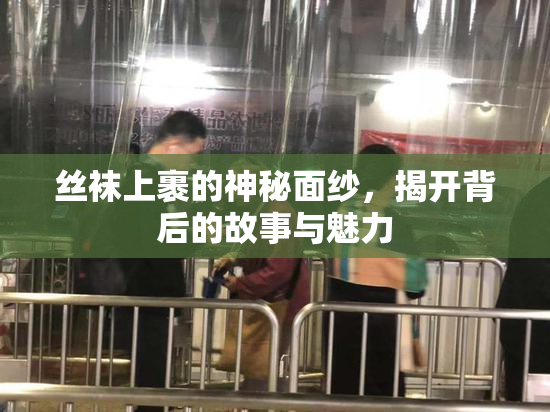 丝袜上裹的神秘面纱，揭开背后的故事与魅力
