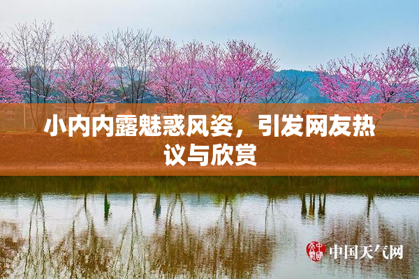 小内内露魅惑风姿，引发网友热议与欣赏