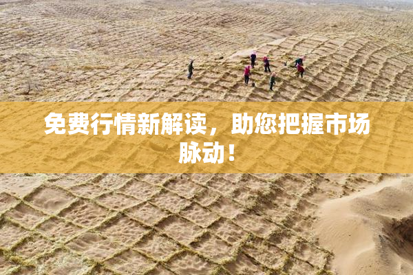 免费行情新解读，助您把握市场脉动！