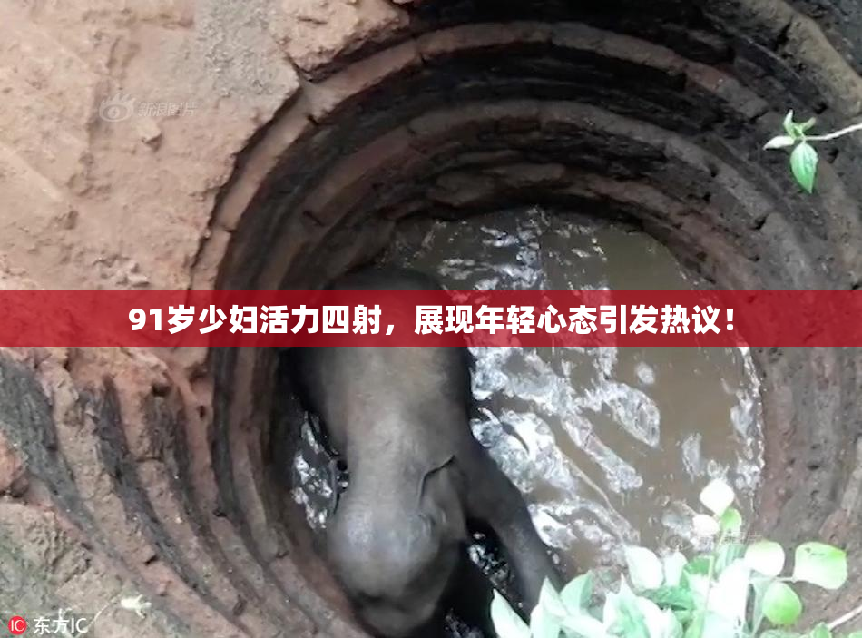 91岁少妇活力四射，展现年轻心态引发热议！