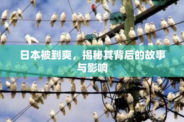 日本被到爽，揭秘其背后的故事与影响