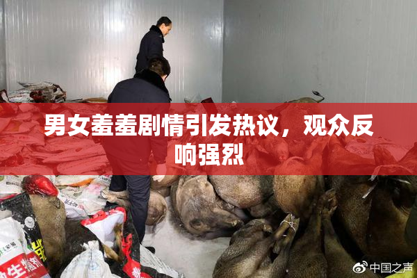 男女羞羞剧情引发热议，观众反响强烈