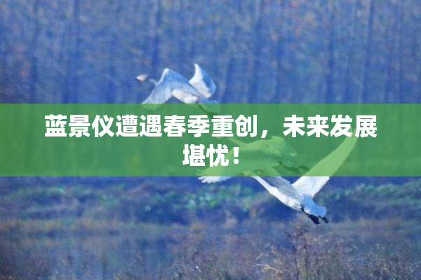 蓝景仪遭遇春季重创，未来发展堪忧！