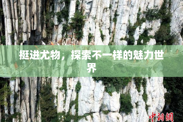 挺进尤物，探索不一样的魅力世界