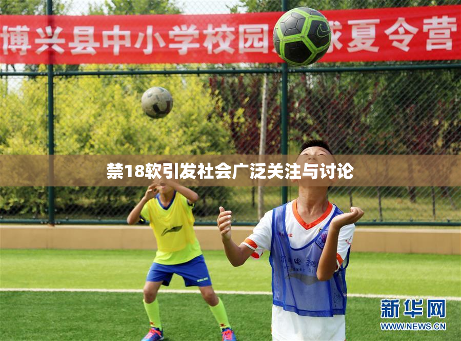 禁18软引发社会广泛关注与讨论