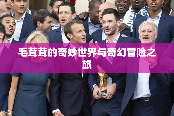 毛茸茸的奇妙世界与奇幻冒险之旅