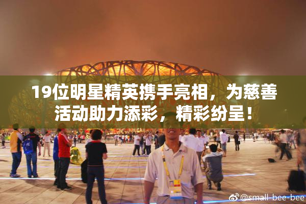 19位明星精英携手亮相，为慈善活动助力添彩，精彩纷呈！