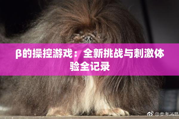 β的操控游戏：全新挑战与刺激体验全记录
