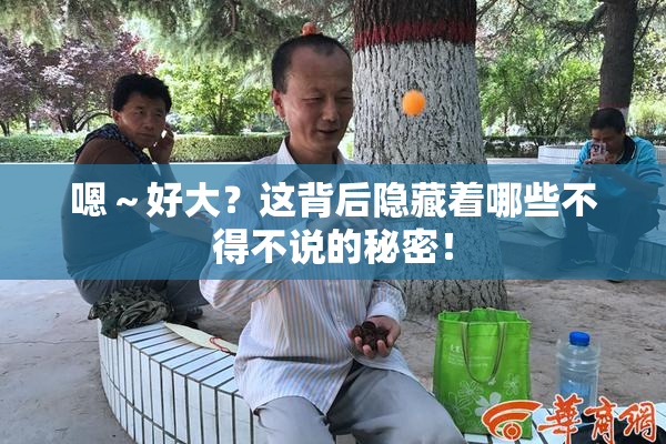 嗯～好大？这背后隐藏着哪些不得不说的秘密！