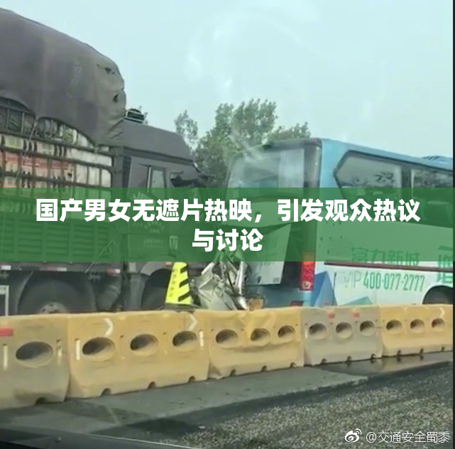 国产男女无遮片热映，引发观众热议与讨论