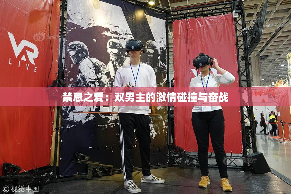 禁忌之爱：双男主的激情碰撞与奋战