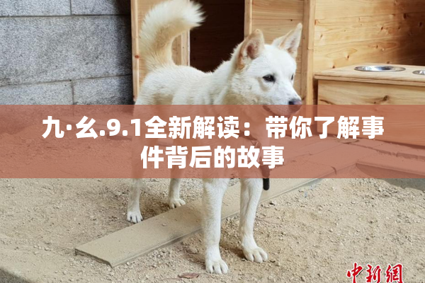 九·幺.9.1全新解读：带你了解事件背后的故事
