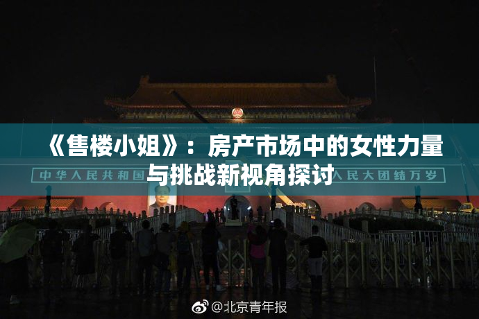 《售楼小姐》：房产市场中的女性力量与挑战新视角探讨