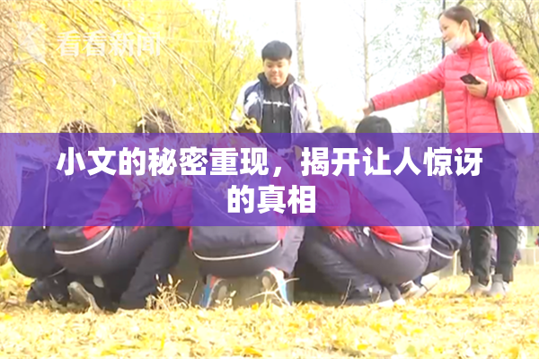 小文的秘密重现，揭开让人惊讶的真相