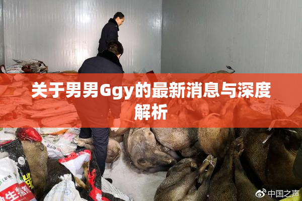 关于男男Ggy的最新消息与深度解析
