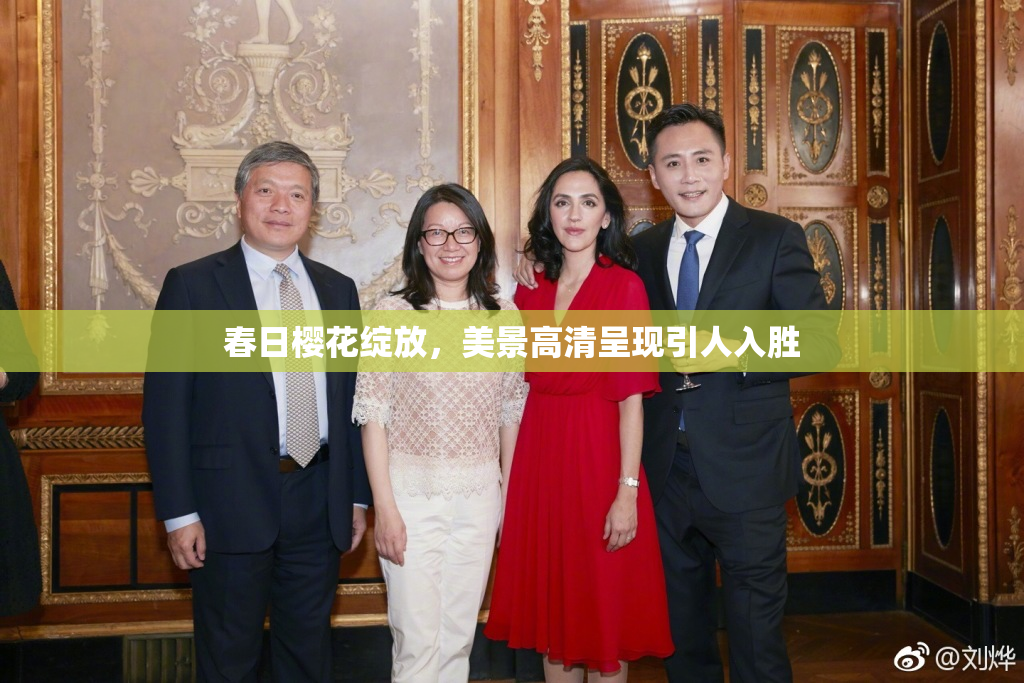 春日樱花绽放，美景高清呈现引人入胜