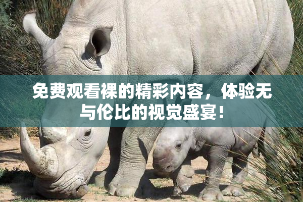 免费观看裸的精彩内容，体验无与伦比的视觉盛宴！