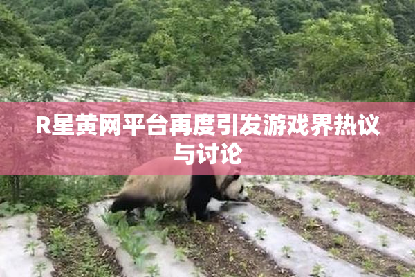 R星黄网平台再度引发游戏界热议与讨论
