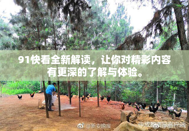 91快看全新解读，让你对精彩内容有更深的了解与体验。