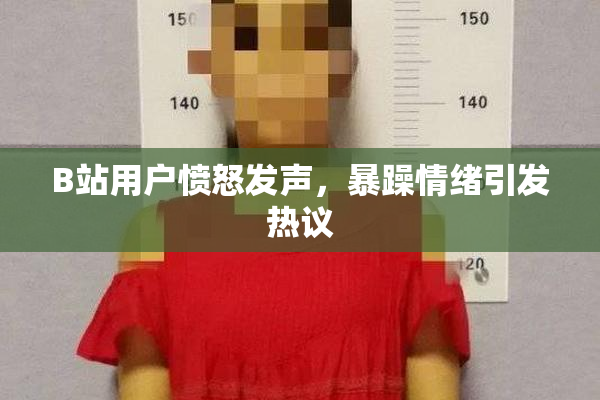 B站用户愤怒发声，暴躁情绪引发热议