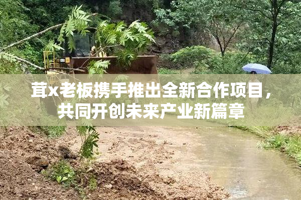 茸x老板携手推出全新合作项目，共同开创未来产业新篇章