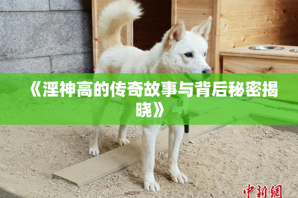 《淫神高的传奇故事与背后秘密揭晓》