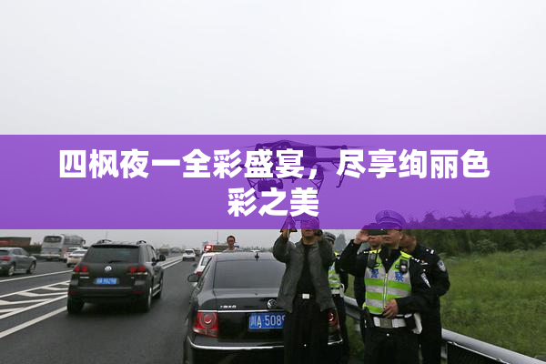 四枫夜一全彩盛宴，尽享绚丽色彩之美