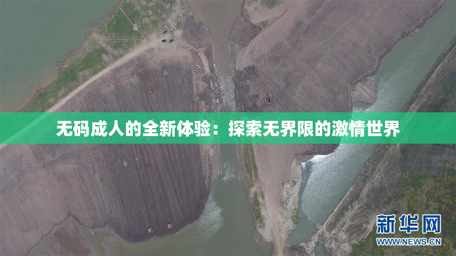 无码成人的全新体验：探索无界限的激情世界