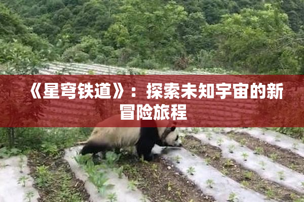 《星穹铁道》：探索未知宇宙的新冒险旅程