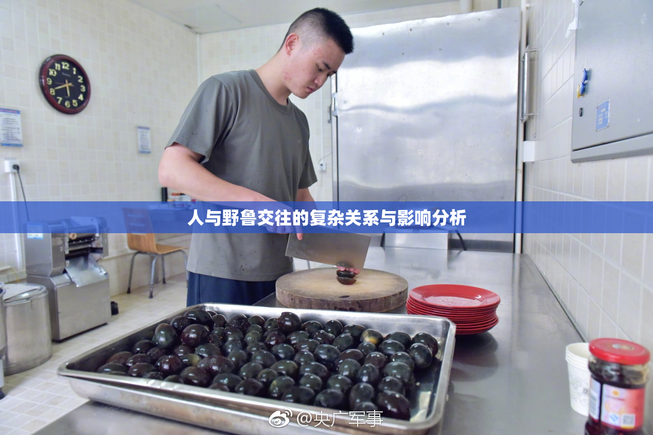 人与野鲁交往的复杂关系与影响分析