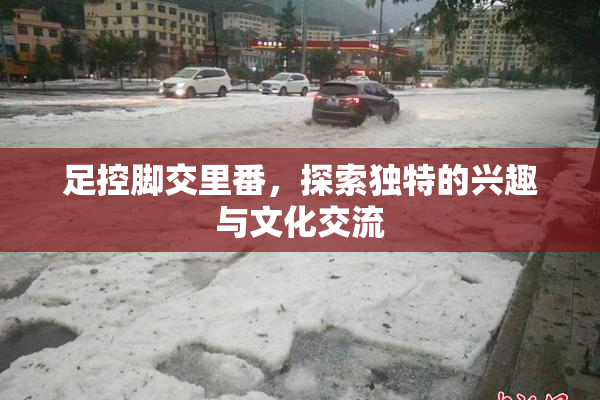 足控脚交里番，探索独特的兴趣与文化交流