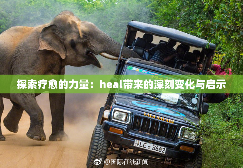 探索疗愈的力量：heal带来的深刻变化与启示